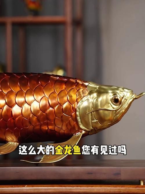 如何辨別金龍魚擺件的真偽，如何辨別金龍魚