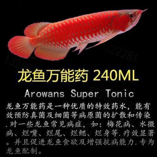 祥龍龍魚清蟲劑有哪些型號？，廈門翔安區(qū)哪個龍魚批發(fā)場規(guī)模最大？