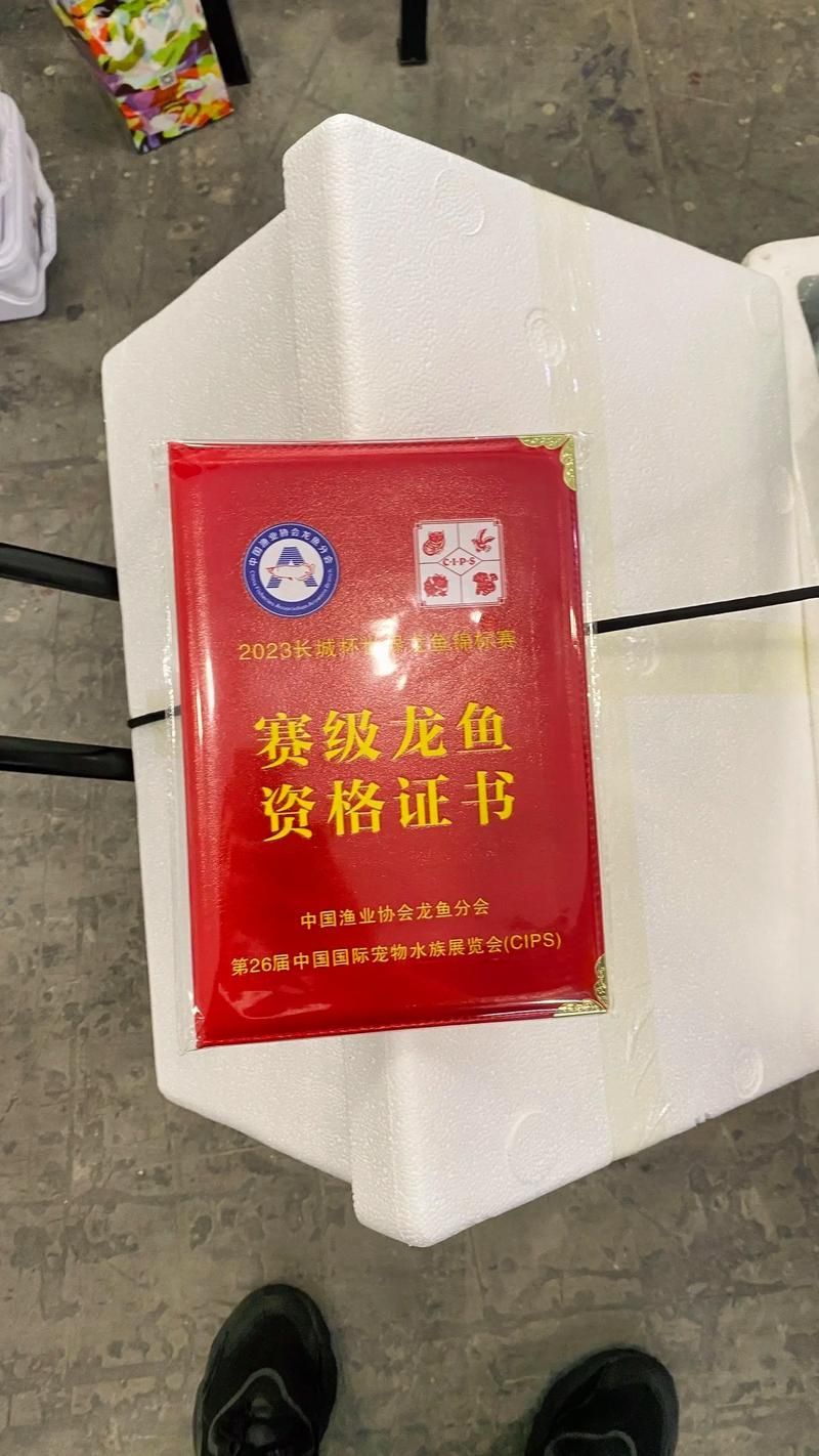 如何判斷一個龍魚場是否可靠？，判斷一個龍魚場是否可靠，用戶要求1000字內(nèi)容和配圖