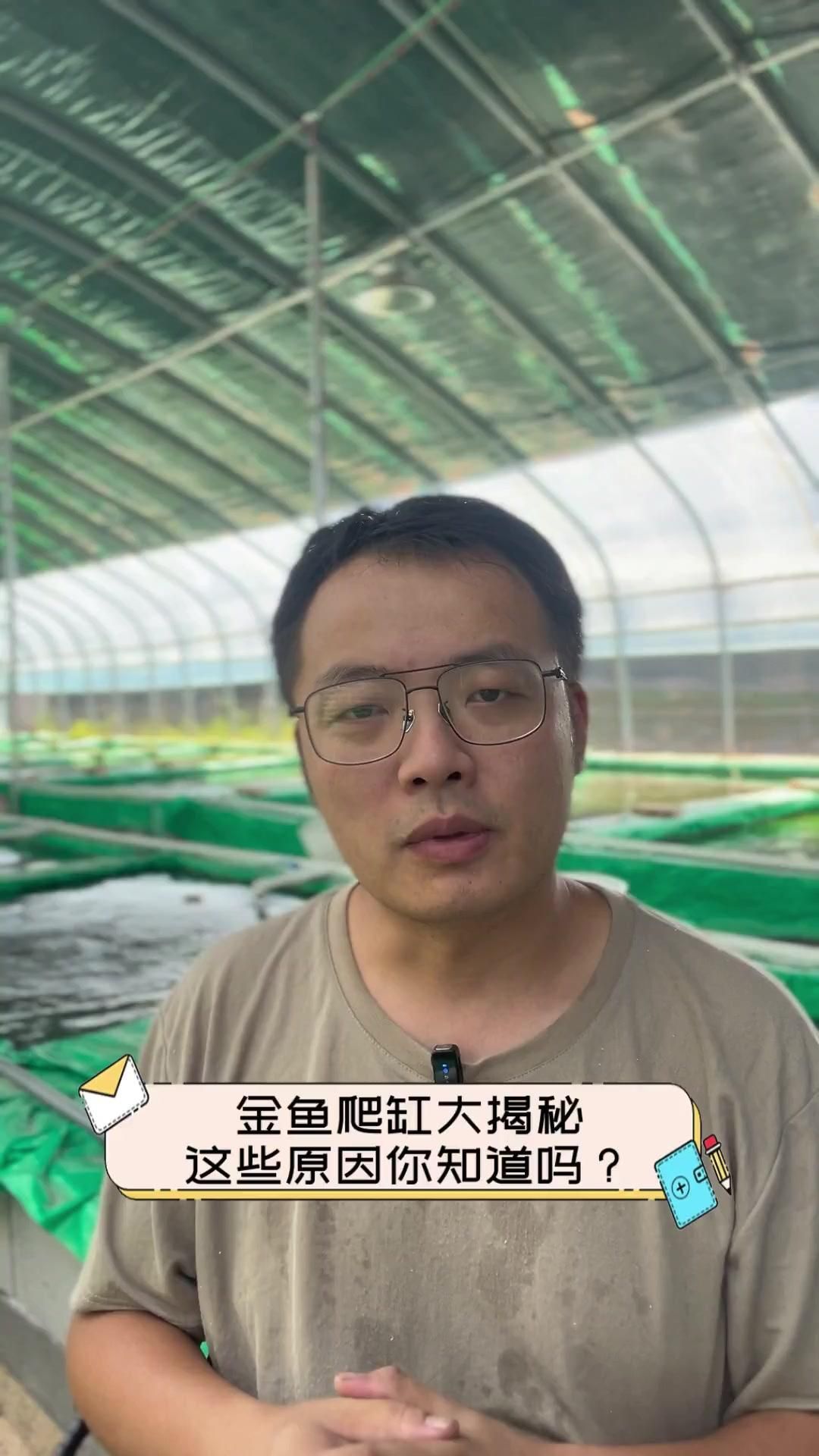 金魚趴缸底如何治療，小金魚沉在缸底不動是怎么回事