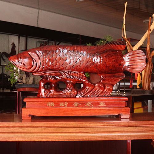 哪里可以購買到50公分的金龍魚？，50公分金龍魚擺件，