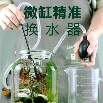 龍魚跳缸后需要換多少水？，龍魚跳缸后需要換多少水？龍魚跳缸后的換水指南（詳解）