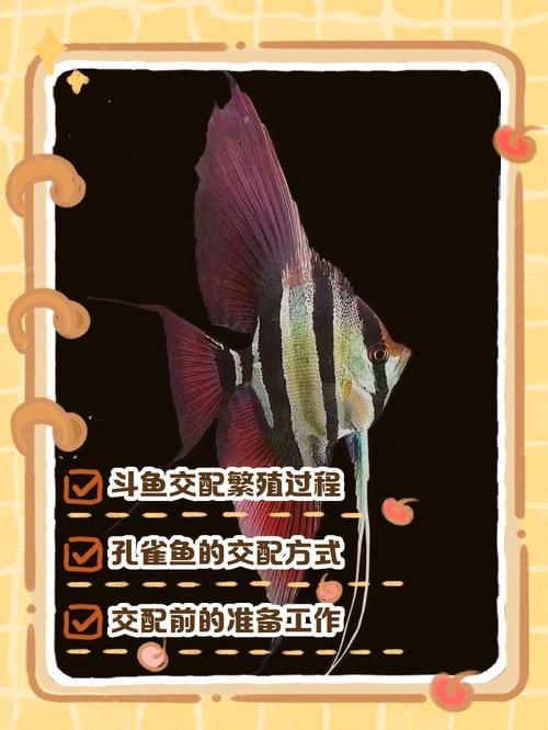 魚交尾原理示意圖，如何繪制魚交尾原理示意圖？