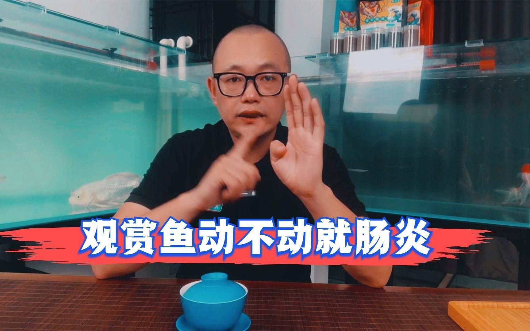 怎么判斷魚得了腸炎，如何判斷魚得了腸炎