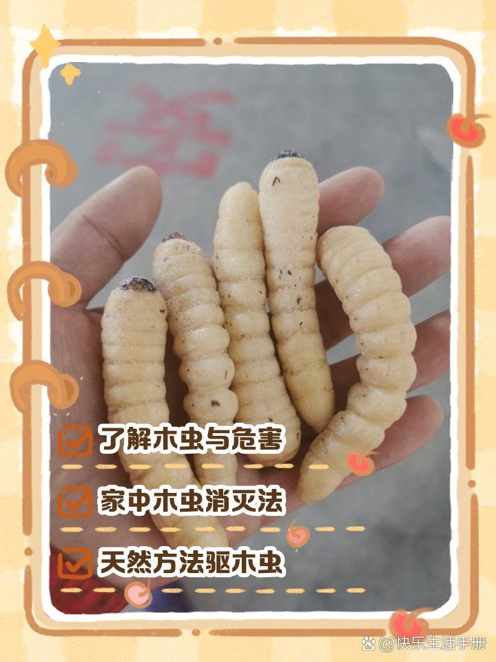 有哪些天然方法防治蠹蟲，天然方法防治蠹蟲