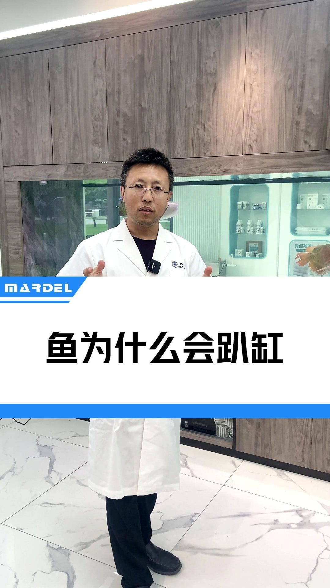 龍魚下沉缸底可能是哪些原因導致的？