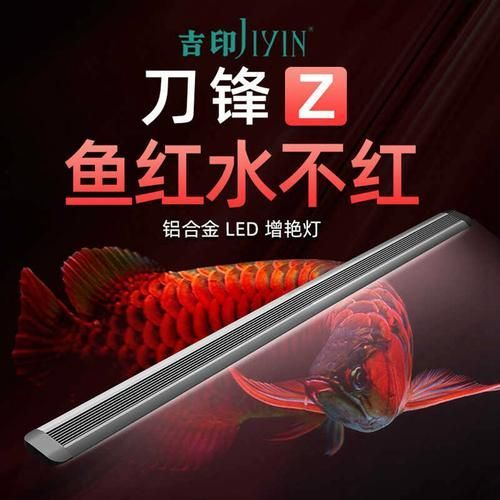 紅龍用什么牌子燈最好，紅龍用什么牌子燈好