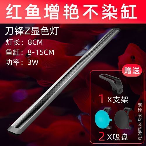 紅龍用什么牌子燈最好，紅龍用什么牌子燈好