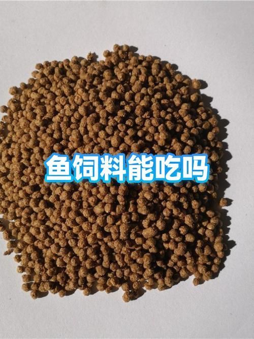 如何預(yù)防魚(yú)類(lèi)細(xì)菌性疾病的發(fā)生