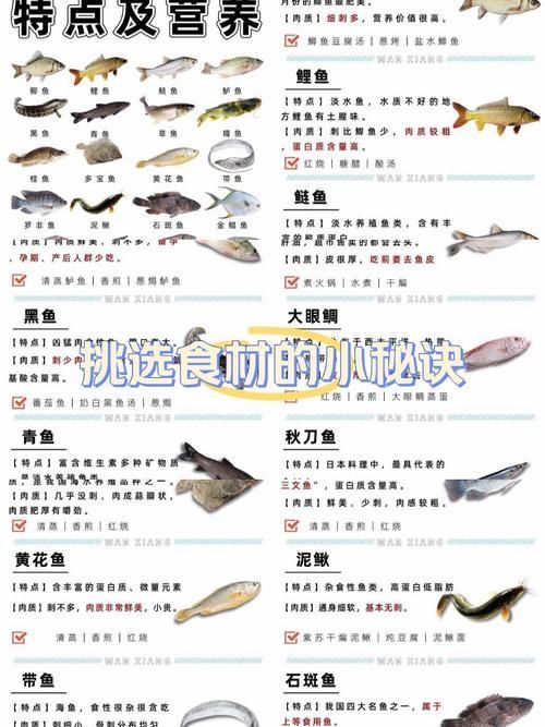 如何預(yù)防魚(yú)類(lèi)細(xì)菌性疾病的發(fā)生
