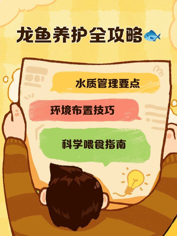 云安龍魚需要哪些飼養(yǎng)條件，云安龍魚養(yǎng)護攻略
