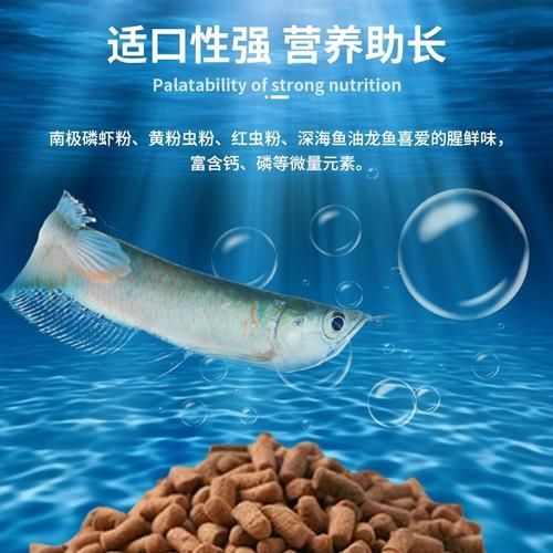 如何預防銀龍魚眼睛白膜復發，如何預防銀龍魚眼睛復發