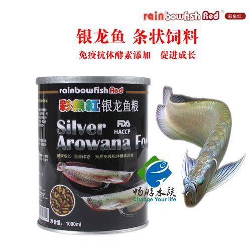 如何預防銀龍魚眼睛白膜復發，如何預防銀龍魚眼睛復發