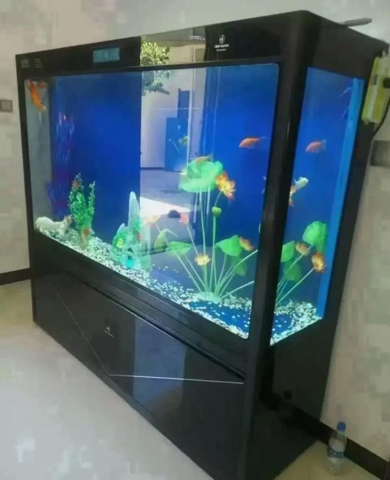 能提供更多可麗愛魚缸的圖片嗎？，可麗愛魚缸怎么樣