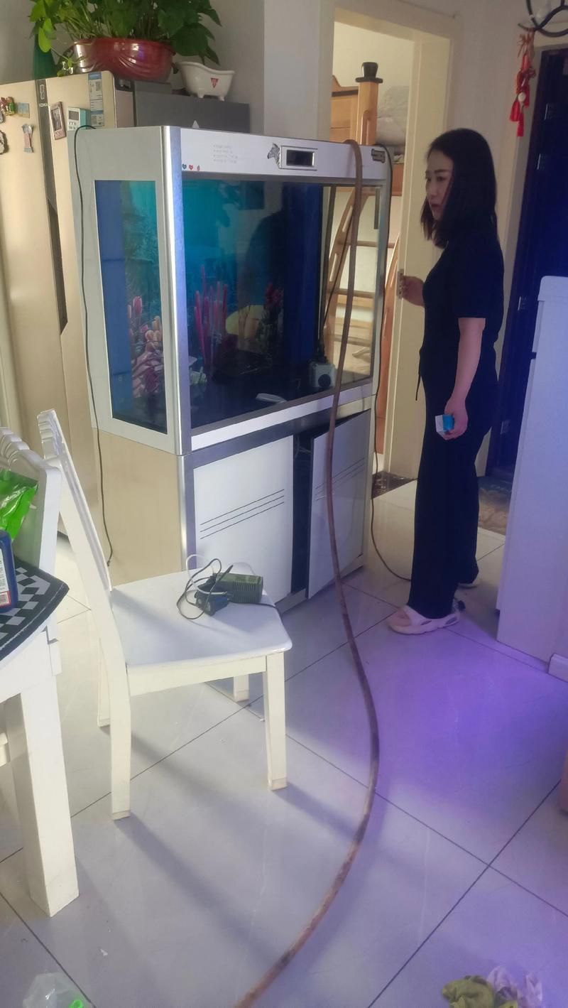 能提供更多可麗愛魚缸的圖片嗎？，可麗愛魚缸怎么樣