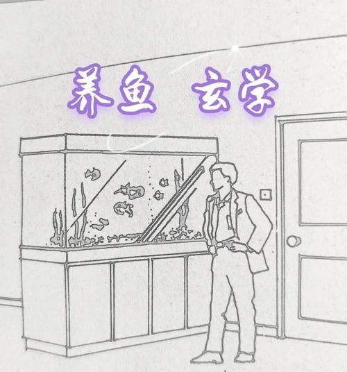 如何預防龍魚鰓蓋撞傷復發，如何預防龍魚撞傷復發