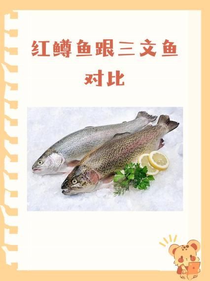 如何預防魚鰭發紅充血，中國水產科學研究院《鯽疾病防控技術指南》