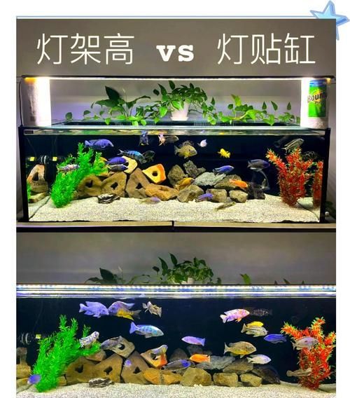 如何判斷魚缸燈是否需要更換？