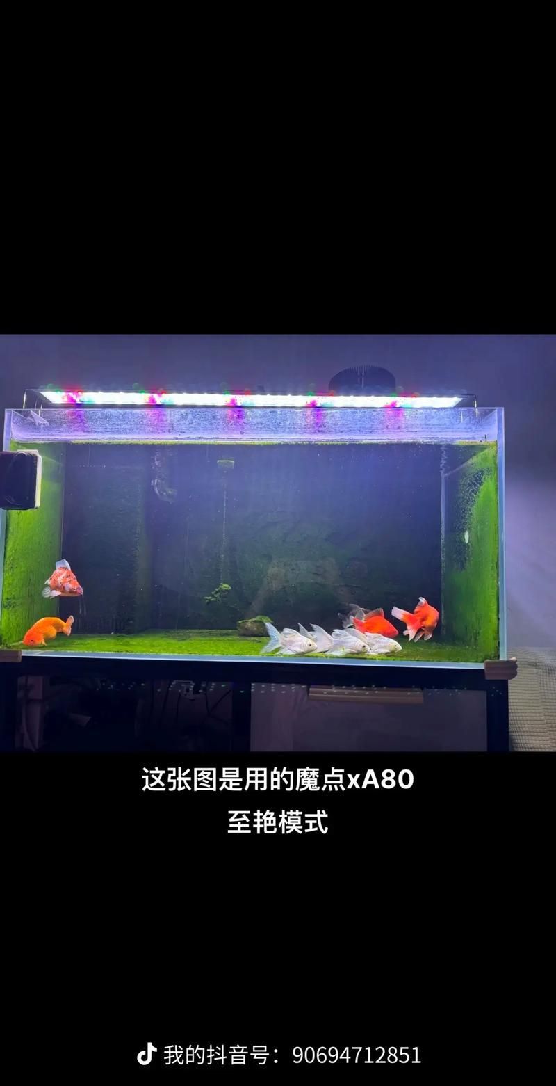 如何判斷魚缸燈是否需要更換？