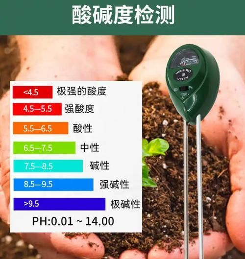 龍魚腹水最忌三種東西，龍魚腹水三大“最忌”
