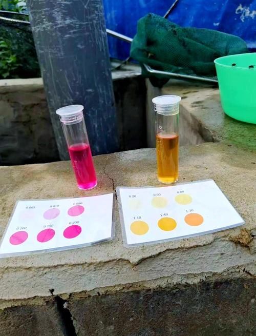 龍魚腹水最忌三種東西，龍魚腹水三大“最忌”