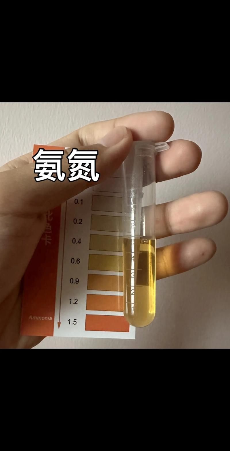 龍魚腹水最忌三種東西，龍魚腹水三大“最忌”