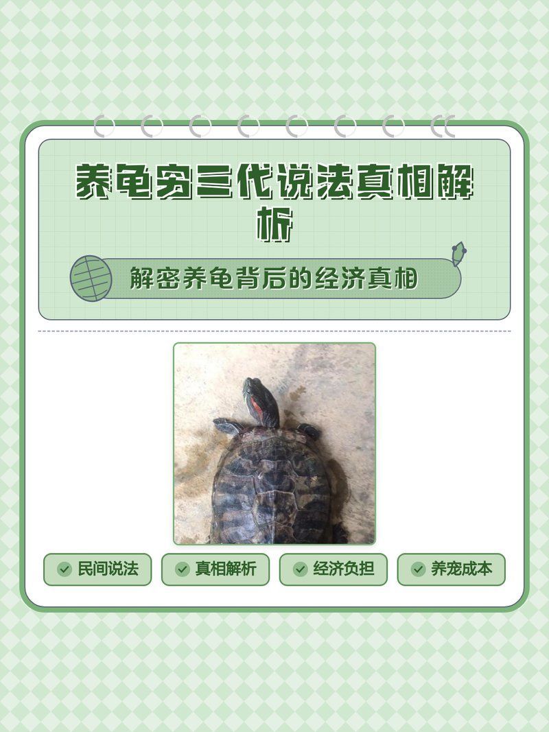 養龜窮三代是否真實