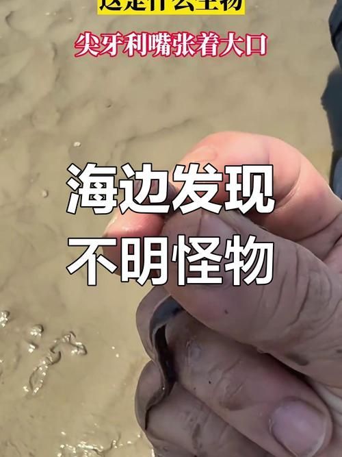 有沒有圖片可以展示這些不明生物，探索未知，揭秘不明生物的神秘面紗