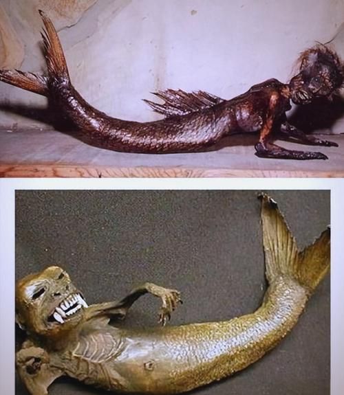 有沒有圖片可以展示這些不明生物，探索未知，揭秘不明生物的神秘面紗