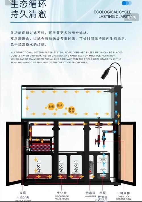 立達龍魚的成活率高嗎？，立達龍魚的成活率