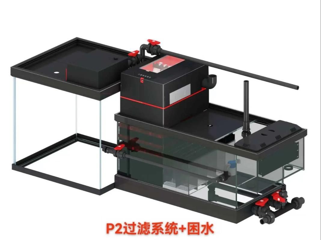 彩鰈和博特哪個更好？，彩鰈與博特的區(qū)別