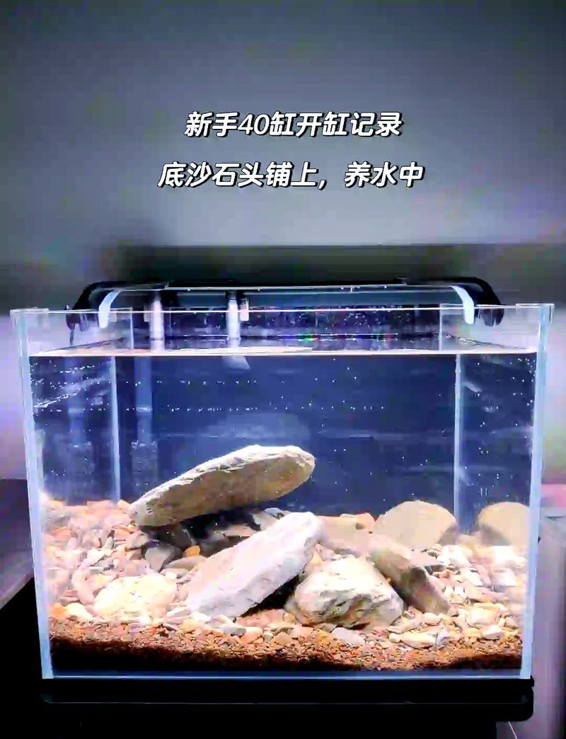 40缸養(yǎng)魚需要哪些設(shè)備，40缸養(yǎng)魚全配置清單