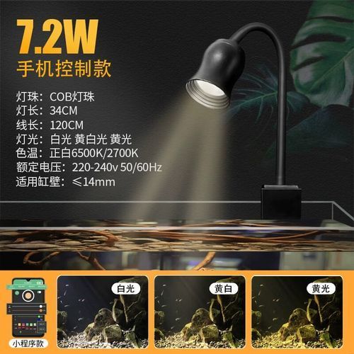 有哪些品牌龍魚缸燈值得推薦，龍魚缸燈值得推薦的幾大品牌龍魚缸燈值得推薦的品牌