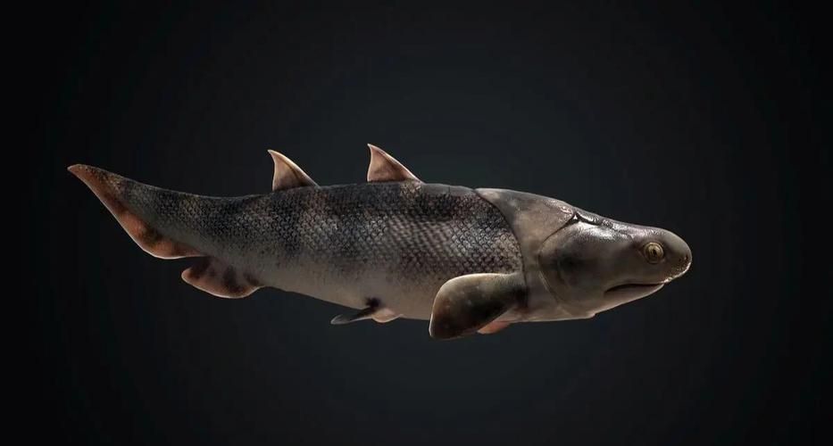富拉爾基龍魚有哪些獨特特征？