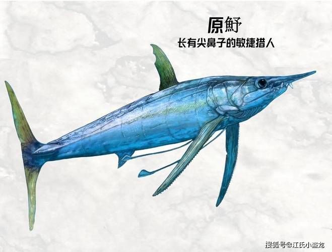 富拉爾基龍魚有哪些獨特特征？