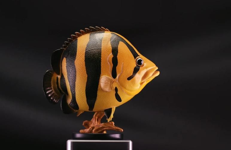 福虎、異型虎魚、純色虎魚哪個最珍貴，福虎、異型虎魚、純色虎魚