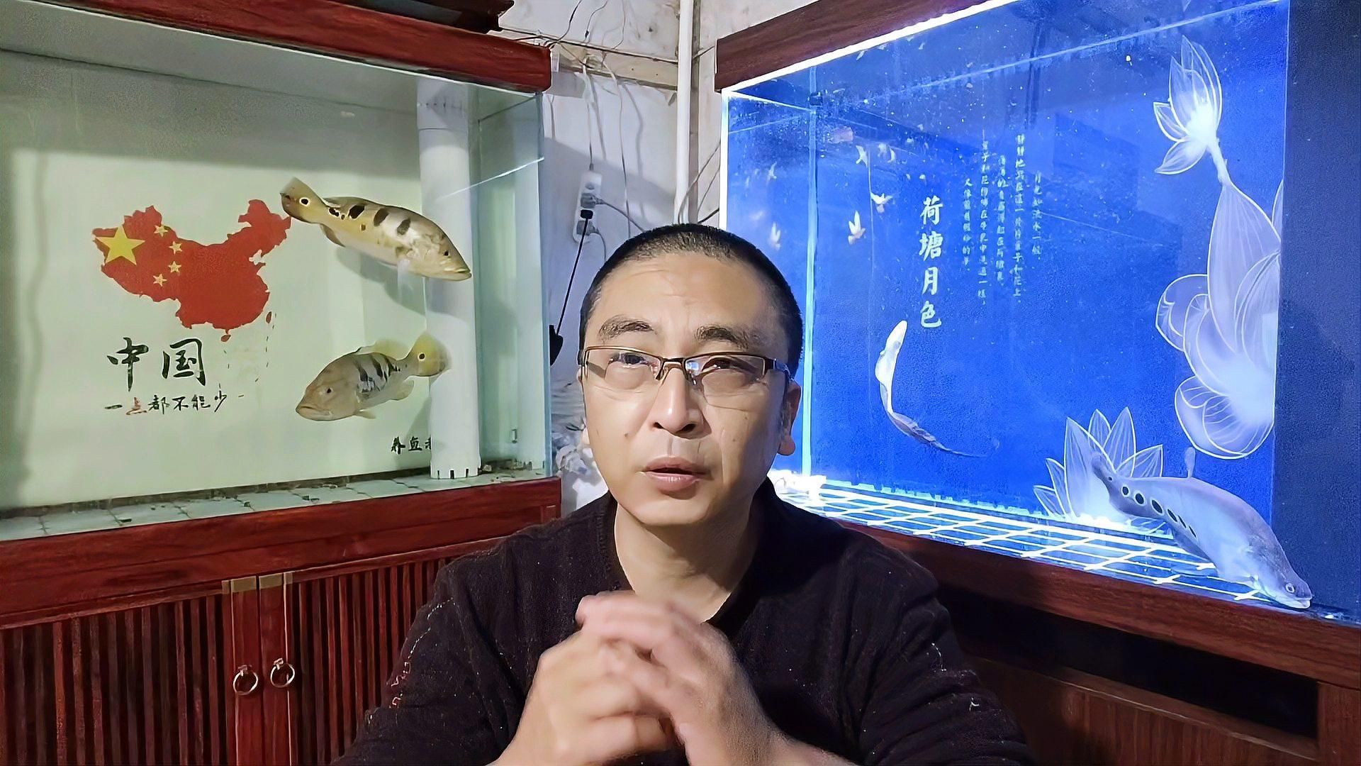 如何判斷魚是否過度喂食，如何判斷觀賞魚吃多了如何處理