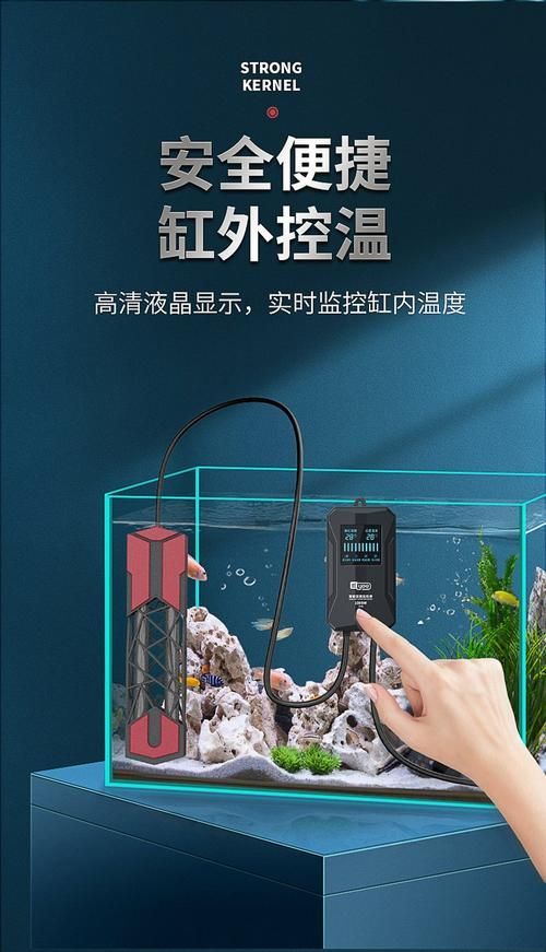 如何安全地家庭飼養鱉