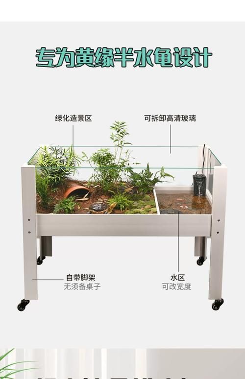 如何安全地家庭飼養鱉