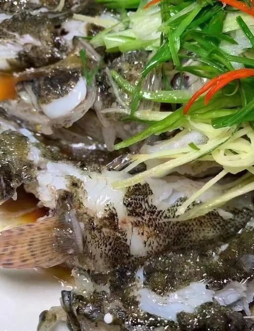 如何辨別真假沙龍魚？，如何辨別沙龍魚