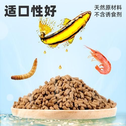 如何判斷龍魚糧的質量好壞？，如何判斷龍魚糧質量好壞？
