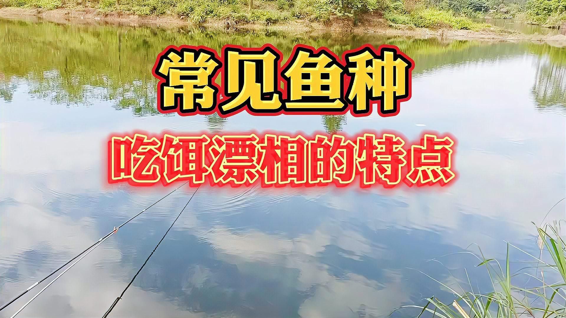 如何區分魚沉尾和其他漂相，如何區分“魚沉尾”和“正常漂相”