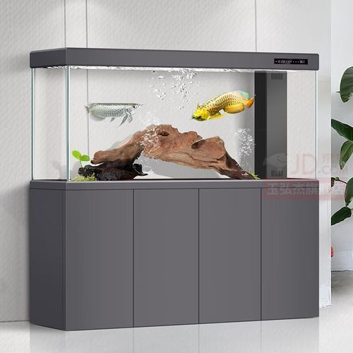 十大龍魚魚缸哪個品牌最好，十大龍魚魚缸哪個品牌最好十大熱門品牌解析