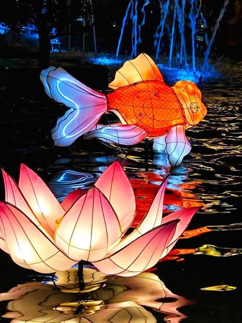 2024年龍魚燈的主燈組是什么？，2024年“龍魚”主燈組