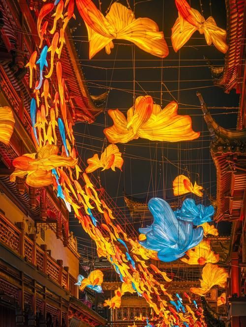 2024年龍魚燈的主燈組是什么？，2024年“龍魚”主燈組