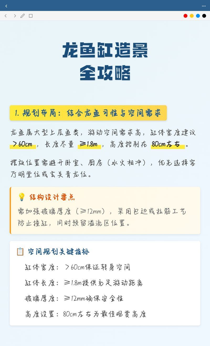 龍魚缸造景有哪些經典案例？，龍魚缸造景案例