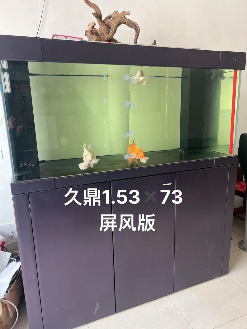 彩鰈、久鼎等品牌魚缸的價格范圍是多少？，彩鰈,久鼎等品牌魚缸的價格范圍是多少？