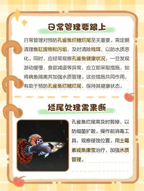 能提供一些預(yù)防魚(yú)爛尾爛鰭病的圖片嗎，如何判斷魚(yú)是否患有爛尾爛鰭病