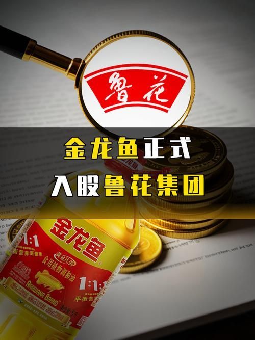 魯花和金龍魚有哪些合作，魯花和金龍魚與金龍魚的合作：魯花和金龍魚有哪些合作