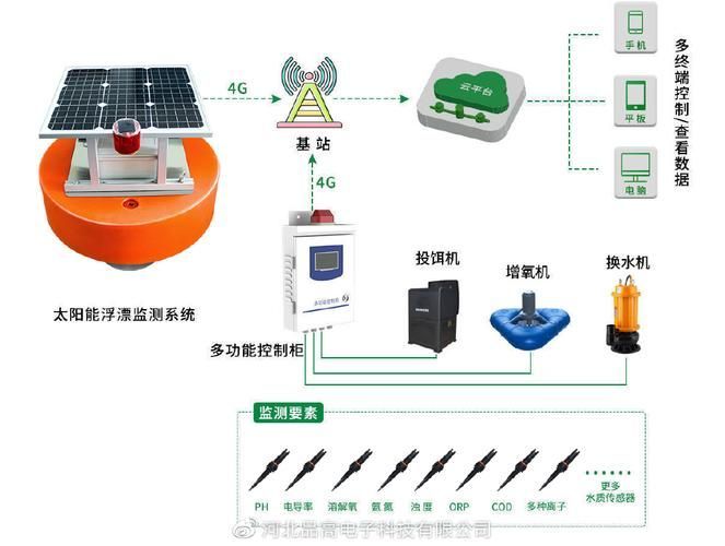 祥龍魚場與CIPS 2025的未來合作方向，祥龍魚場與cips2025合作方向